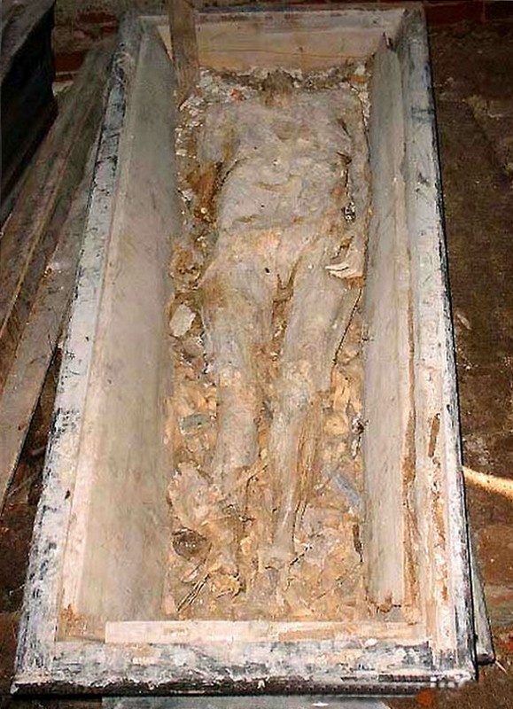 Description de l'image